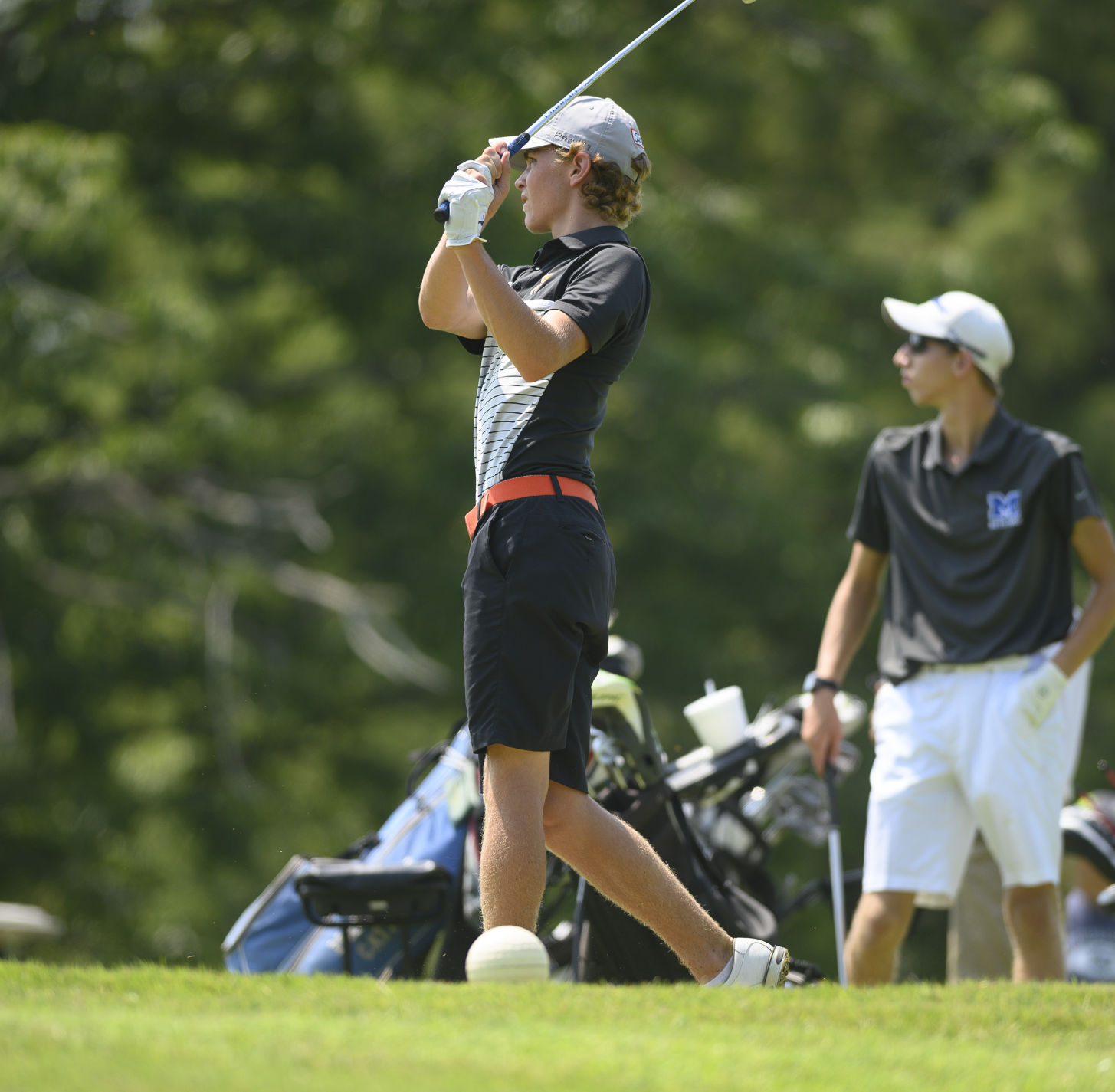 Hickory Stick Classic